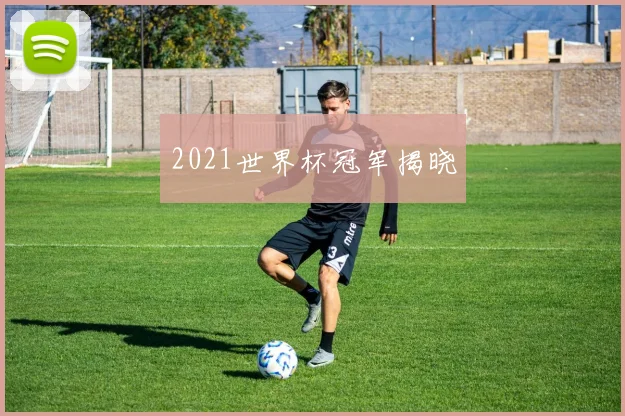 2021世界杯冠军揭晓