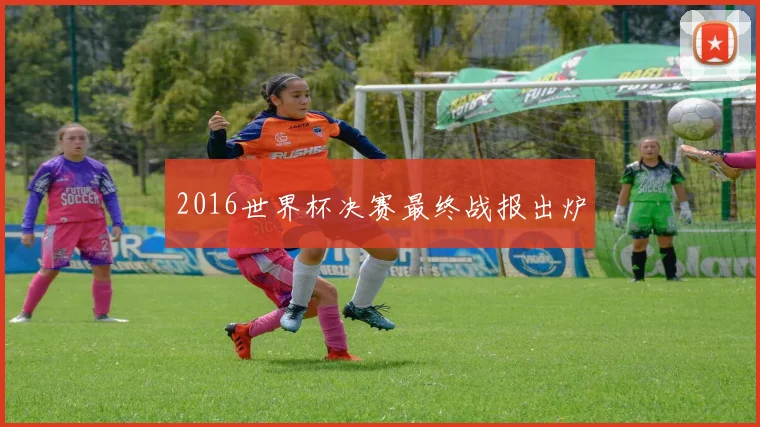 2016世界杯决赛最终战报出炉