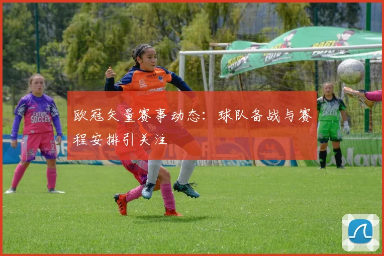 欧冠矢量赛事动态:球队备战与赛程安排引关注