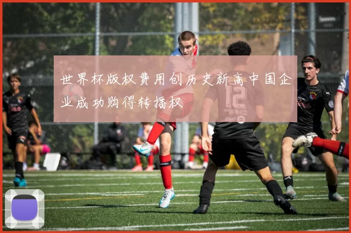 世界杯版权费用创历史新高中国企业成功购得转播权