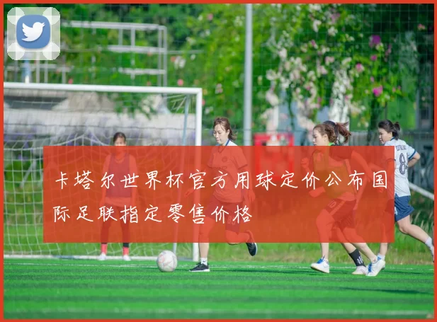 卡塔尔世界杯官方用球定价公布国际足联指定零售价格